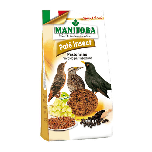 Manitoba patè insect - manitoba,