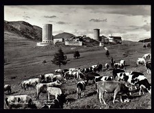 SESTRIERE SESTRIERES TORINO