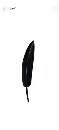 Penna nera naturale prima - penna, di