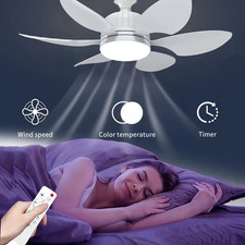 Ventilatore da soffitto