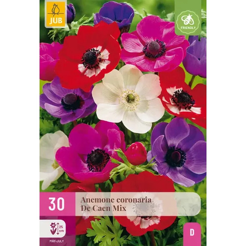 Bulbi anemone coronaria - di, de