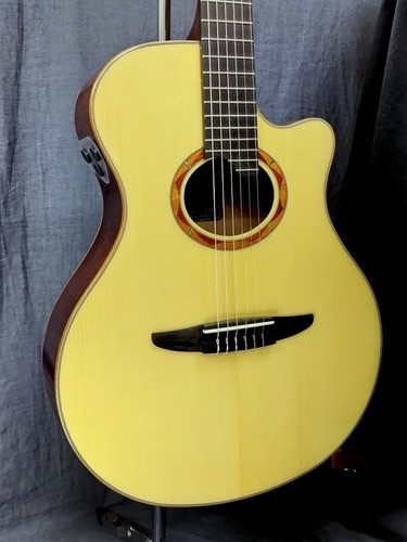 Chitarra acustica classica