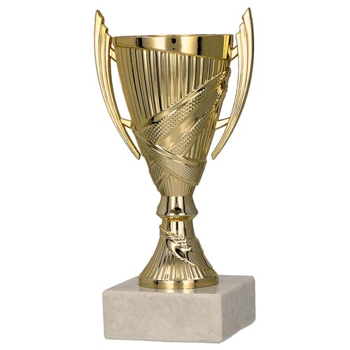 Larius coppa vincente - coppa,