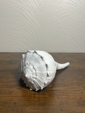 Decorazione Conchiglia