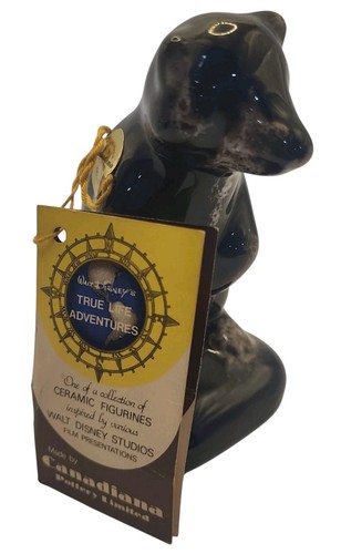 Walt disney rascal - walt, raccoon"