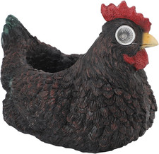 Fioriera per Galline, Graziosa