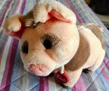 TRUDI 23831 MAIALE ARGANTE CM 30 RARISSIMO DA COLLEZIONE PELUCHE sc 7