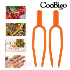 50X Fissaggio Stelo Piante