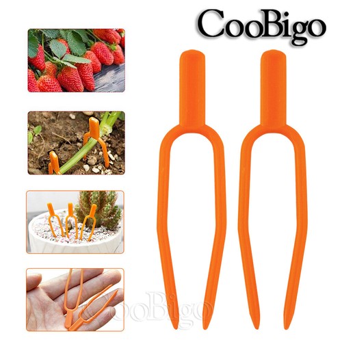 50x fissaggio stelo piante - stelo,
