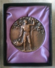 Medaglia centenario banca