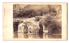 Fotografia C. Hodcend, Genes