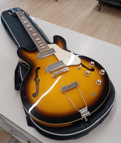 Chitarra elettrica acustica