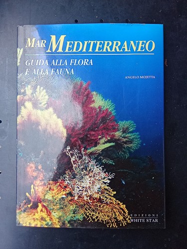 Mar mediterraneo guida alla - mar,