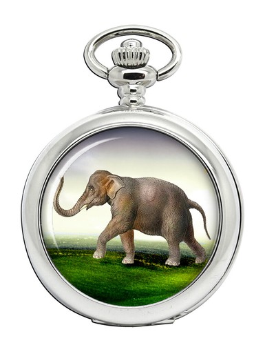 Orologio tasca elefante - orologio,
