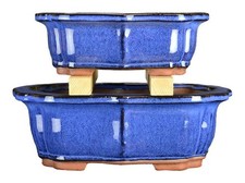 Vasi per bonsai ovali (forma