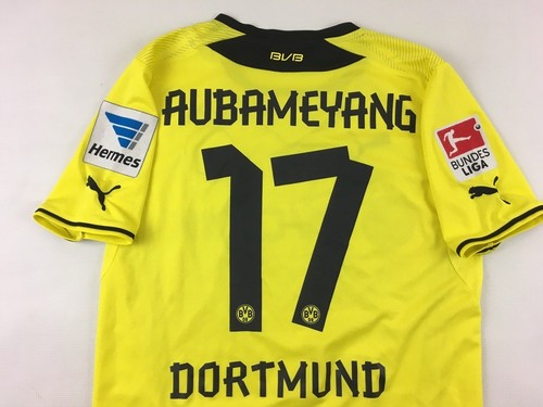 Borussia dortmund 2013 2014 - borussia,