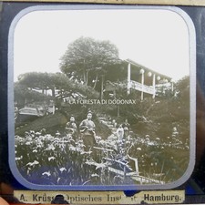  foto lanterna magica 1880 GIAPPONE GIARDINO DEL TÈ STORIA ETNICA GIAPPONESE
