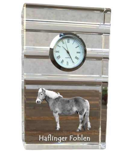 Haflinger fohlen orologio - orologio, a