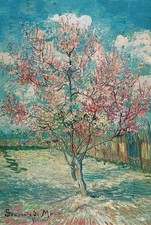 The Pink Peach Tree Vincent