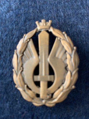 Aeronautica distintivo - aeronautica,