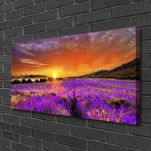 Moderni astratti 100x50 quadro - astratti,