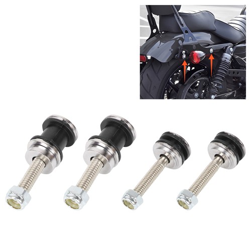 Detachable sissy bar mounting - sissy,