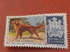 1956 Repubblica di S. Marino Cani di Razza Setter Irlandese n 445 L. 25 MNH S87 