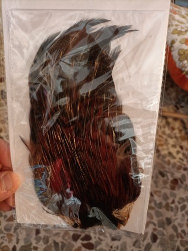 Collo gallo chokibundu - di,
