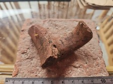 Parte anfora pentola romana