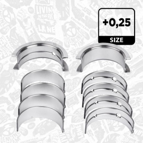 Kit cuscinetti albero - , motore