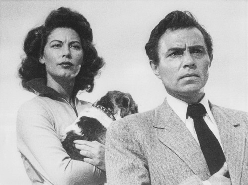 Ava gardner photo - ,