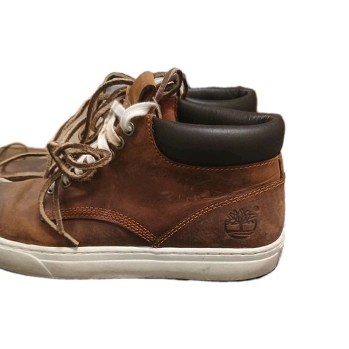 Scarpe timberland uomo - timberland,