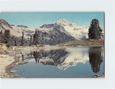 Cartolina Testa di Diamante