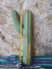 Pachanoi, San🌵Pedro XXL