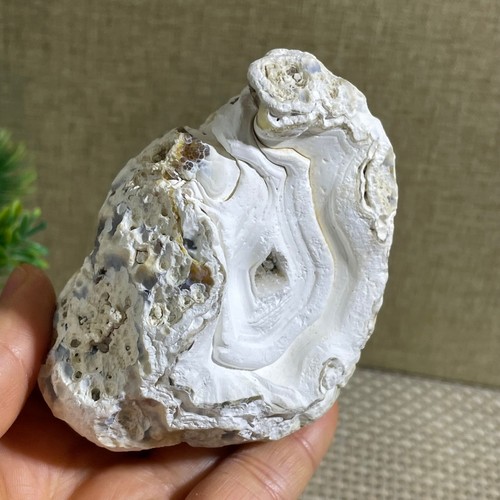 Bonsai suiseki 285g pietra - suiseki,