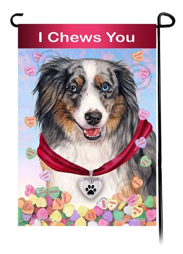 American shepherd aussie - american,