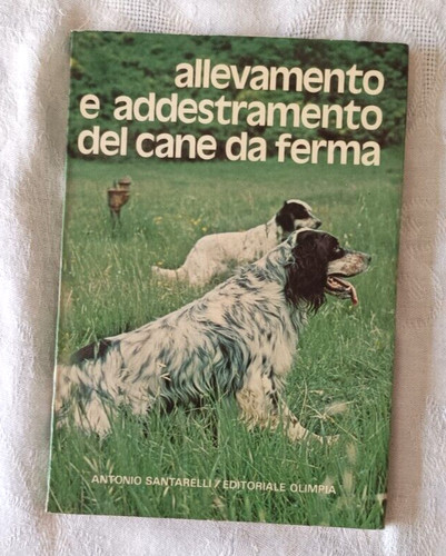 Allevamento addestramento - allevamento,