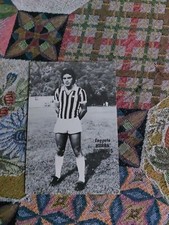 Foto Di Causio Della Juventus