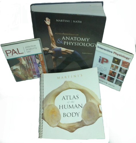 Fundamentals anatomy - of, &