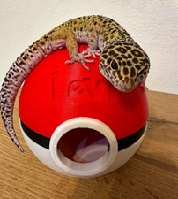 Pokeball Tana Umida