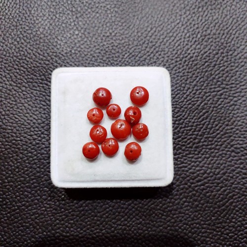 Perline corallo rosso - corallo,