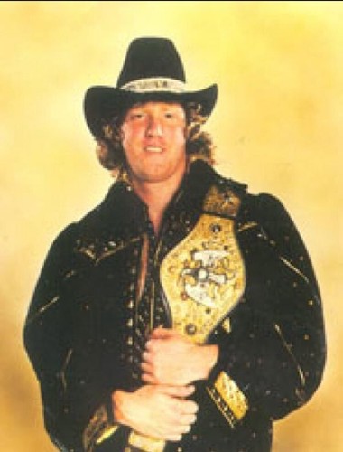 Wrestling superstars david - superstars,