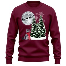 British Shorthair Kitten