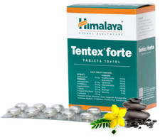 10X10 Himalaya TENTEX FORTE