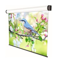 Telo per proiettore SP