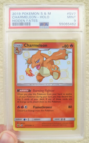 2019 pokemon tcg charmeleon - 2019,