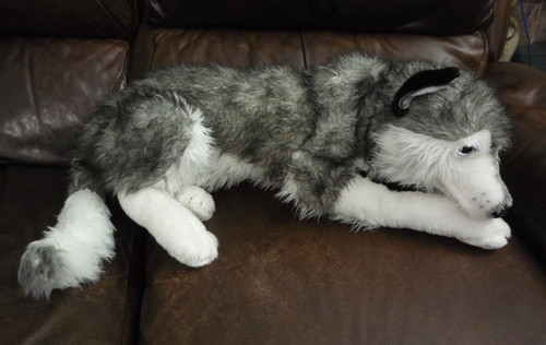 Peluche morbido husky - peluche,