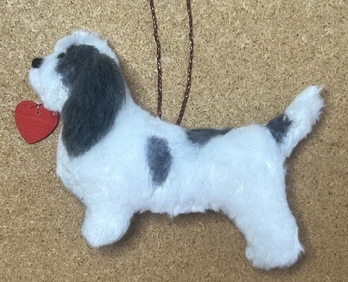Pbgv basset griffon - basset,