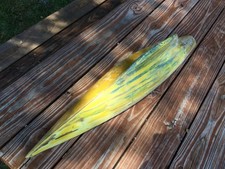 Americas Cup 1962 METEATHERLY