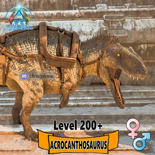 Ark survival ascended pve - ark,